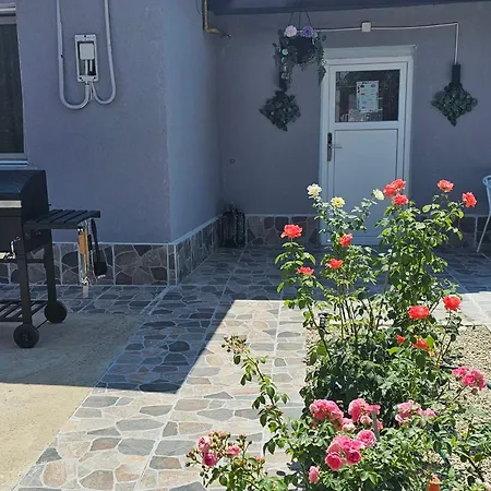 The Purple House-villa In