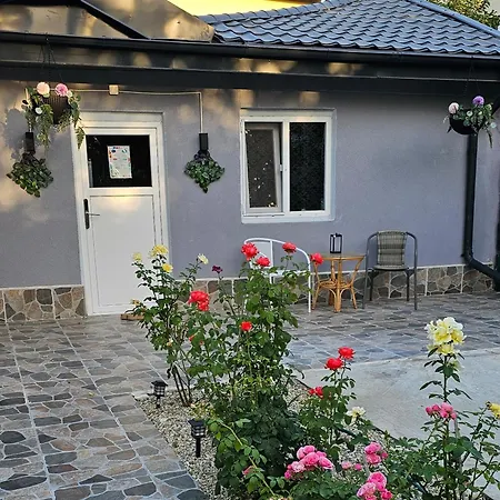 The Purple House-villa In Willa