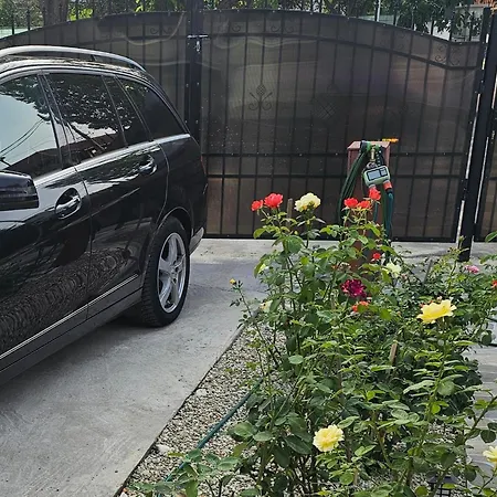 The Purple House-villa In Willa Bukareszt