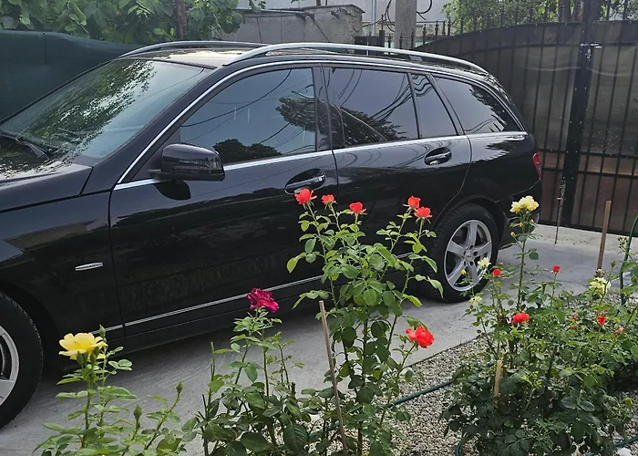 The Purple House-villa In * Bucareste