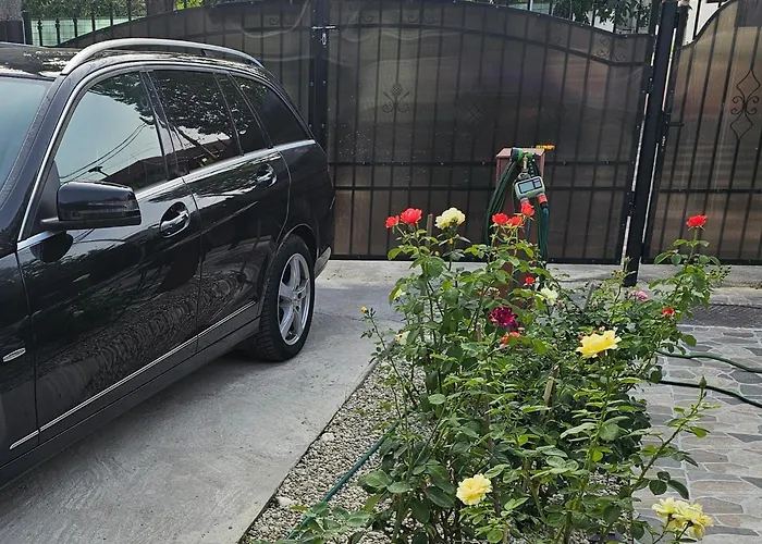 The Purple House-villa In Villa Bucareste