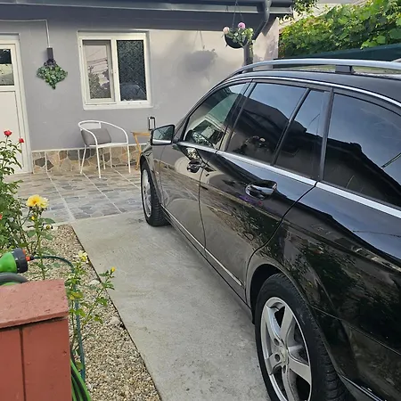 Vilă The Purple House-villa In