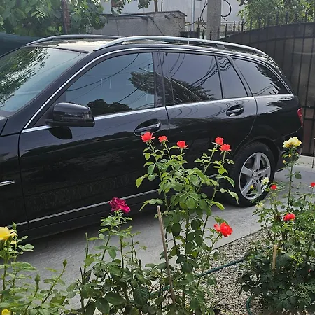 The Purple House-villa In * Bucureşti